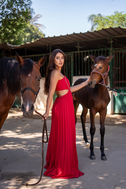 Red Heart shape pleated maxi dress